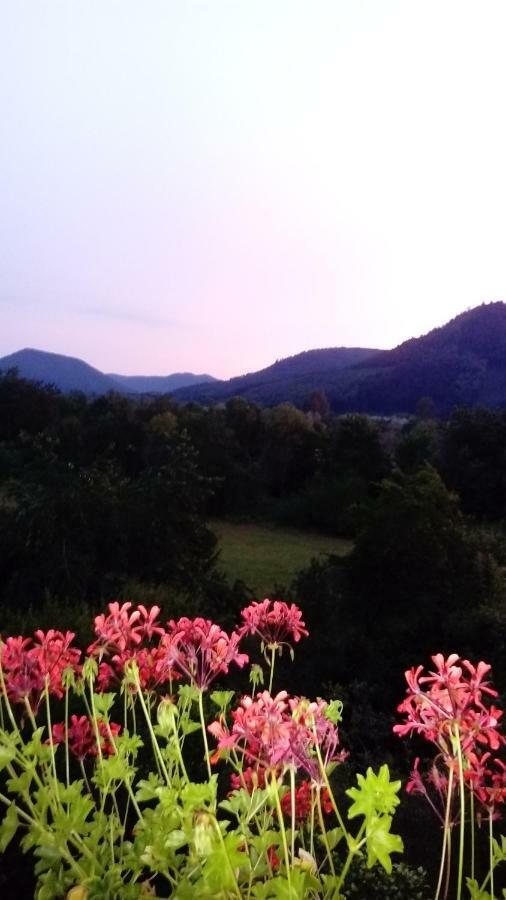 Bed and Breakfast Au Gre Des Sentiers Chez Marie Et Pierre Saint-Die-des-Vosges Exterior foto
